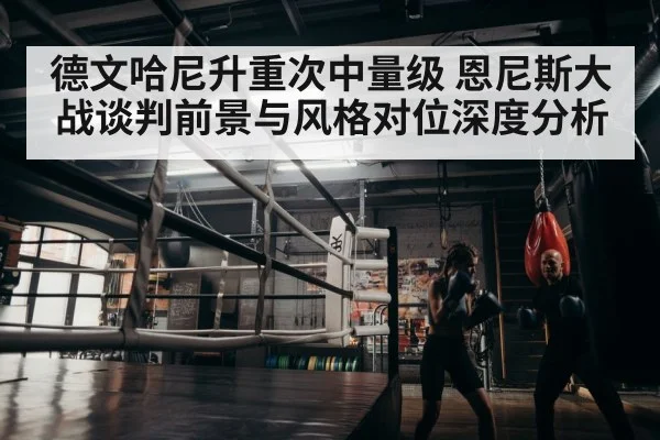 boxer training gym | nine game